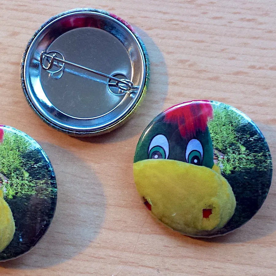 Vorder- und Rückseite eines Dinoli-Buttons mit Anstecknadel